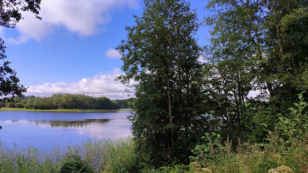 Фото из отзыва от 29.07.2024