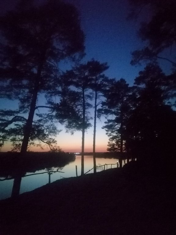 Фото из отзыва от 10.08.2024