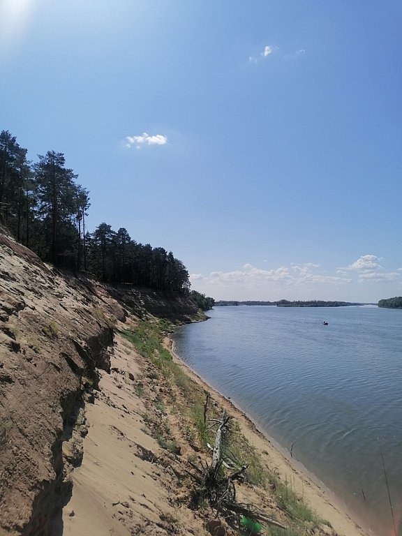 Фото из отзыва от 10.08.2024