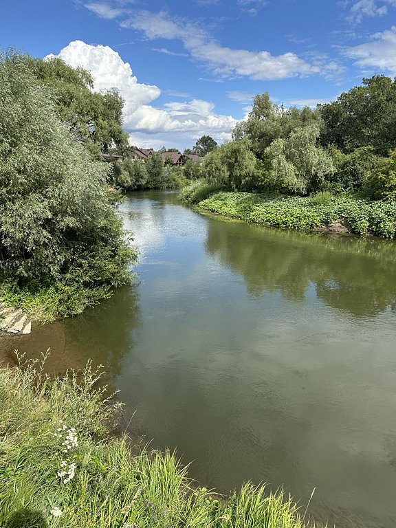 Фото из отзыва от 26.07.2024