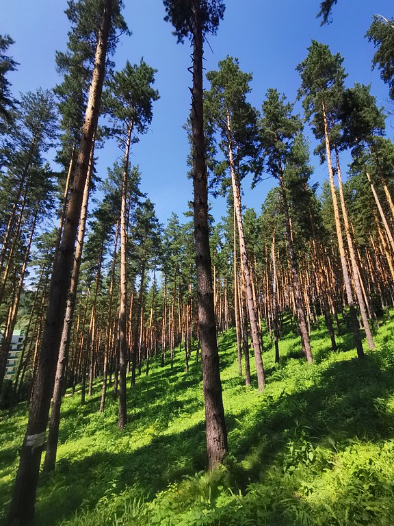 Фото из отзыва от 30.07.2024