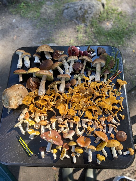 Фото из отзыва от 12.08.2024