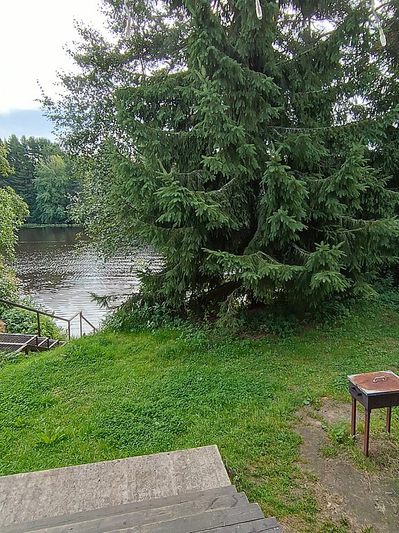 Фото из отзыва от 12.08.2024