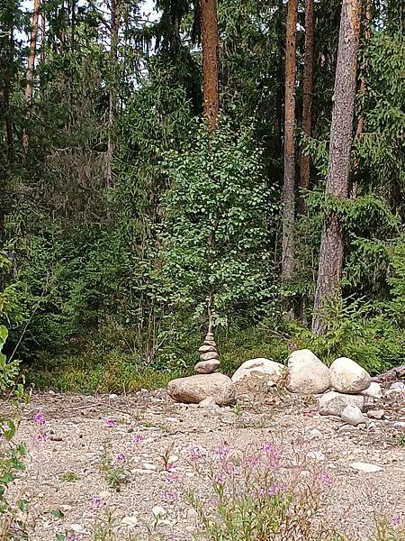 Фото 2 из отзыва о гостевом доме Алавойне