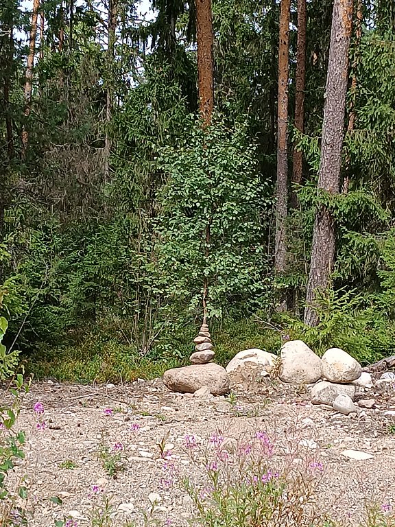 Фото из отзыва от 12.08.2024