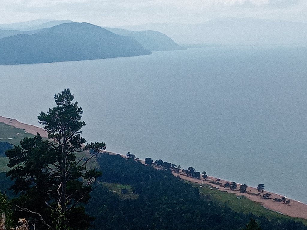 Фото из отзыва от 15.08.2024