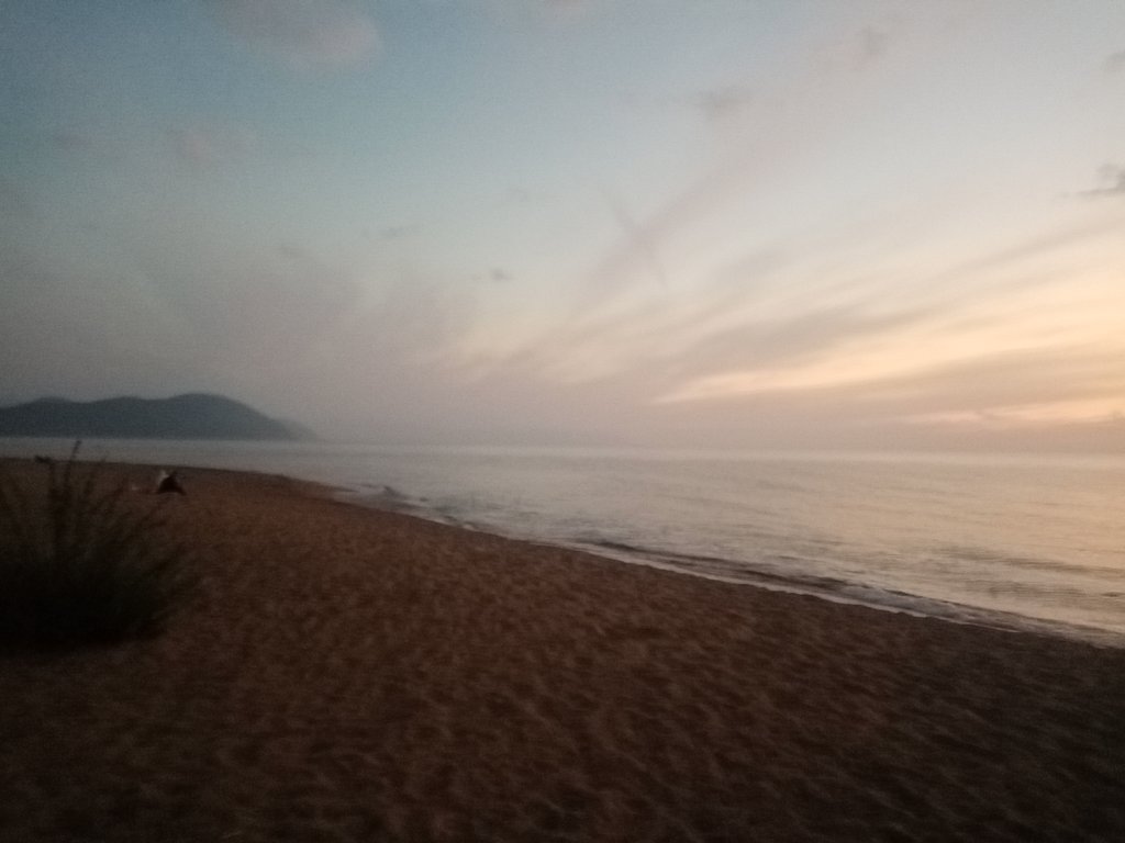 Фото из отзыва от 15.08.2024