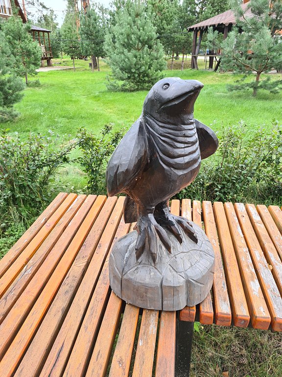 Фото из отзыва от 12.08.2024