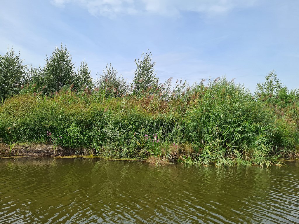 Фото из отзыва от 12.08.2024