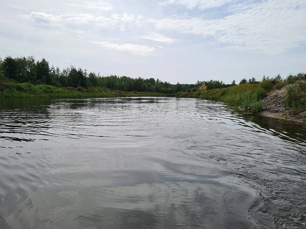 Фото из отзыва от 12.08.2024