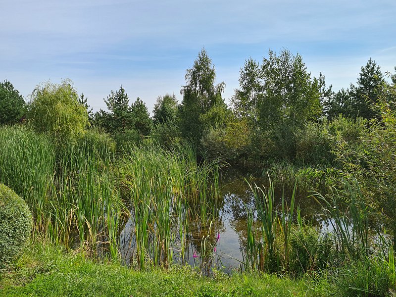 Фото 6 из отзыва о базе отдыха Полушкино