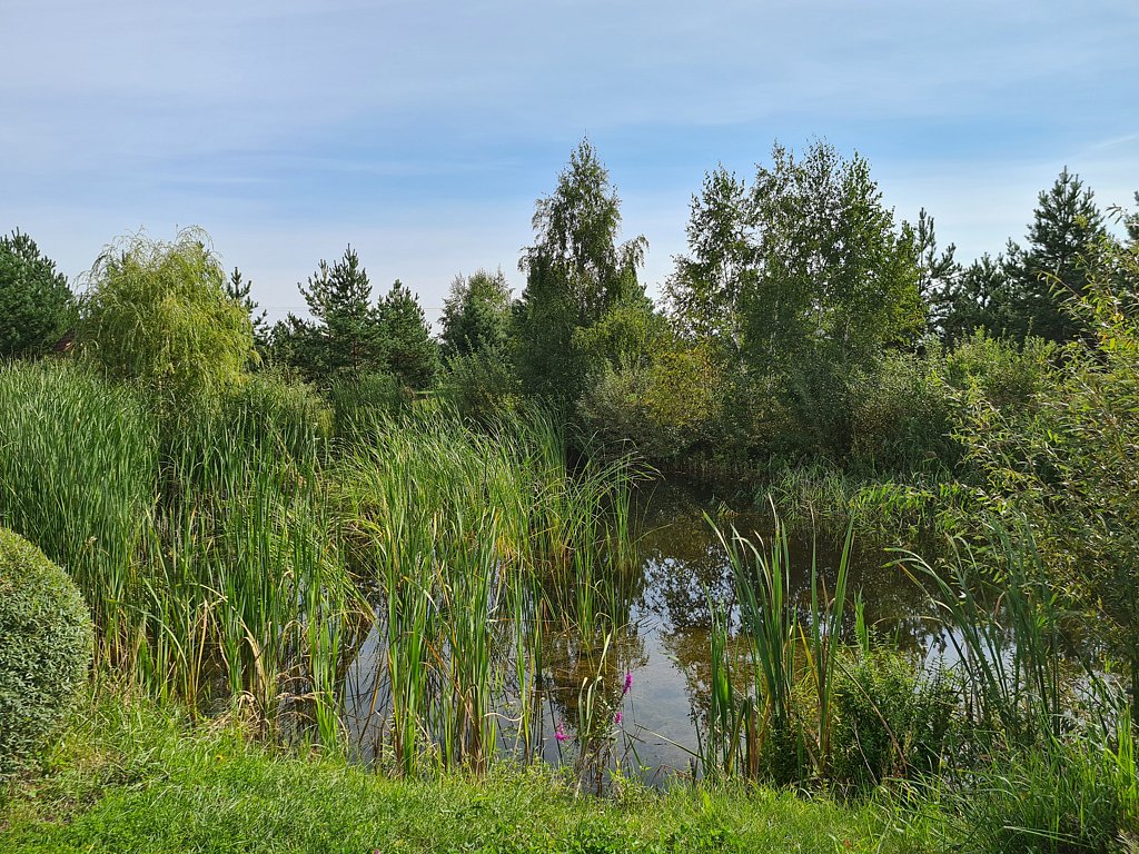 Фото из отзыва от 12.08.2024