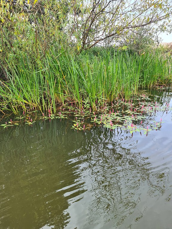 Фото из отзыва от 12.08.2024