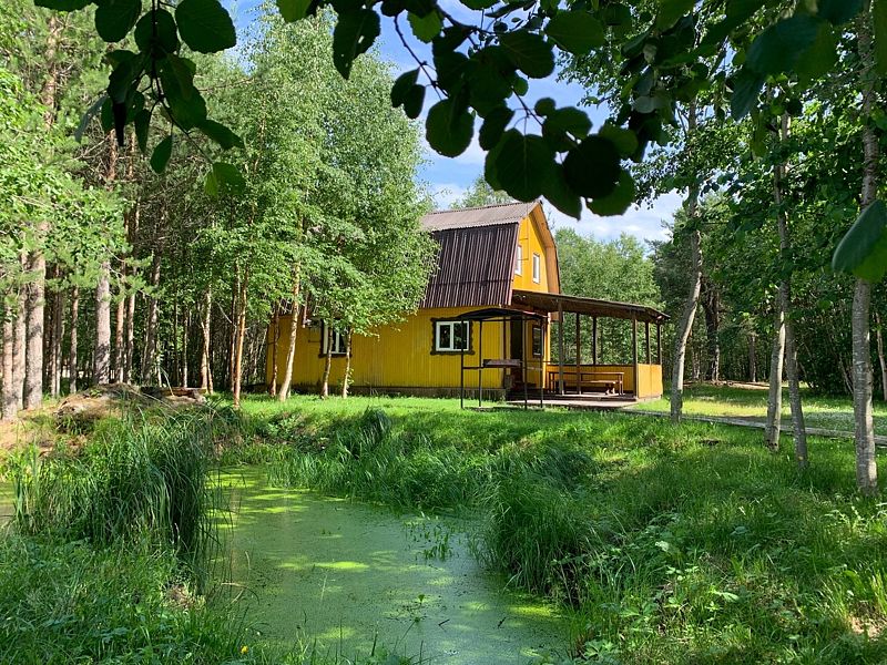 Поляна-Вереск, Архангельская область: фото 5