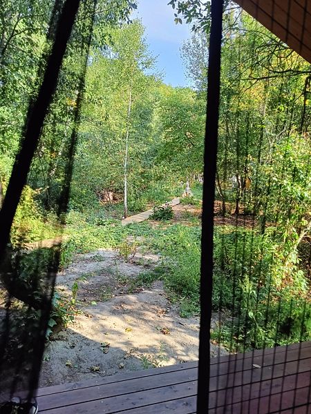 Фото 1 из отзыва о глэмпинге Глэмпинг-парк Лох-бро