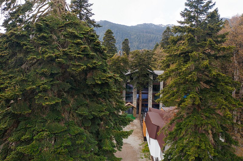 Отель Tash Maral (Таш Марал), Республика Карачаево-Черкесия, Архыз Зеленчукский район