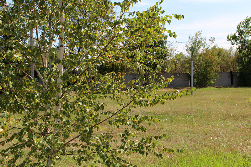 Портофлот, Ростовская область: фото 5