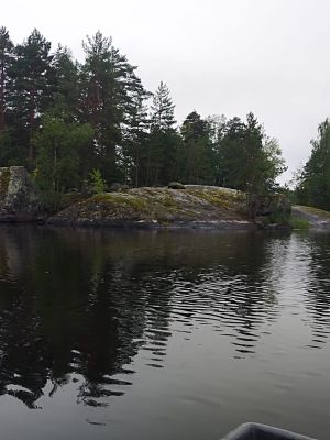 Фото 5 из отзыва о базе отдыха Васильево