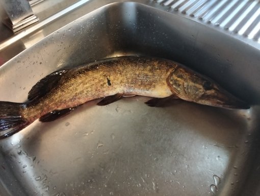 Фото 7 из отзыва о базе отдыха Васильево