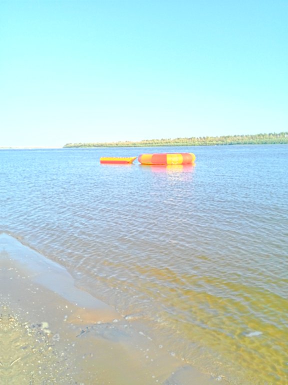 Фото из отзыва от 20.08.2024