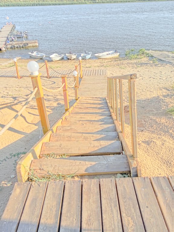 Фото из отзыва от 20.08.2024