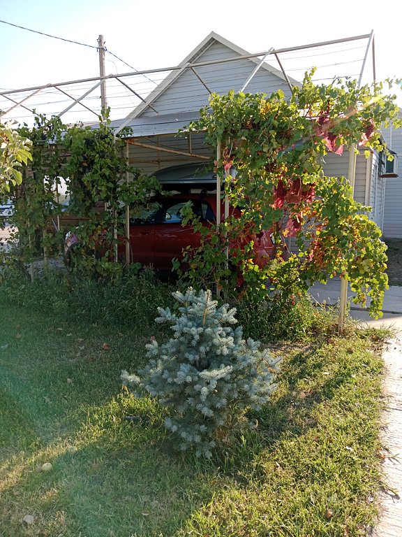 Фото из отзыва от 20.08.2024