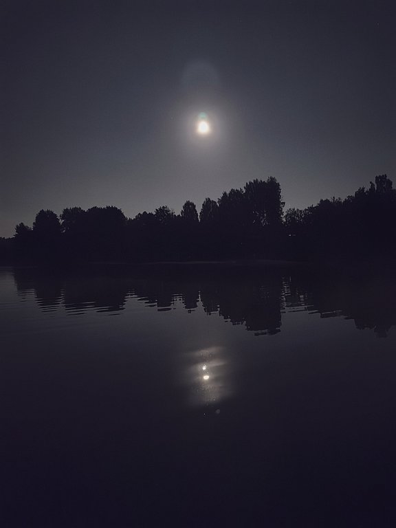 Фото из отзыва от 19.08.2024