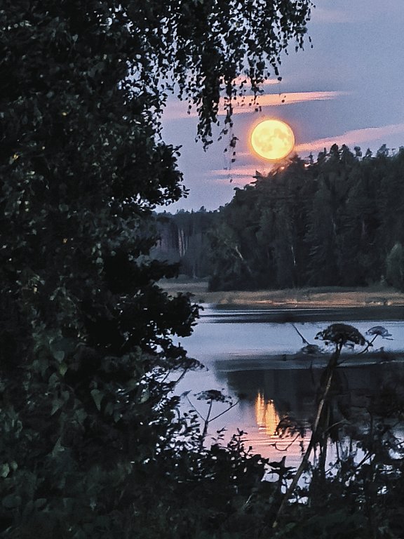 Фото из отзыва от 19.08.2024