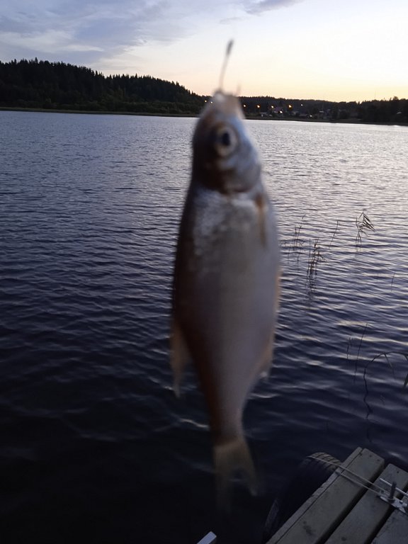 Фото из отзыва от 26.08.2024