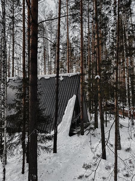 Время леса, Свердловская область: фото 5