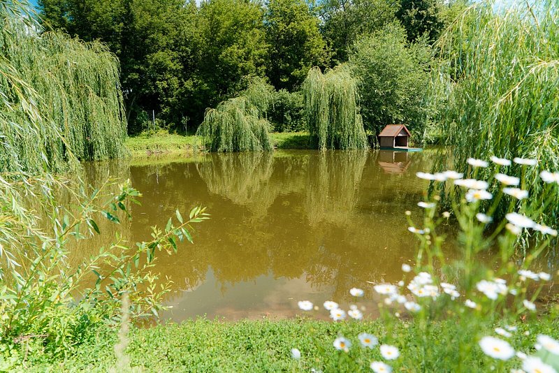 Речной клуб, Воронежская область: фото 5