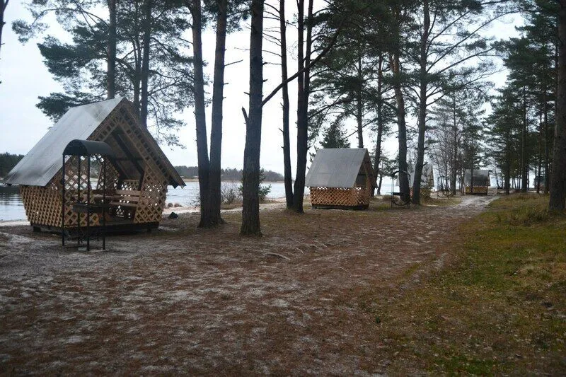 Золотой берег, Ленинградская область: фото 5