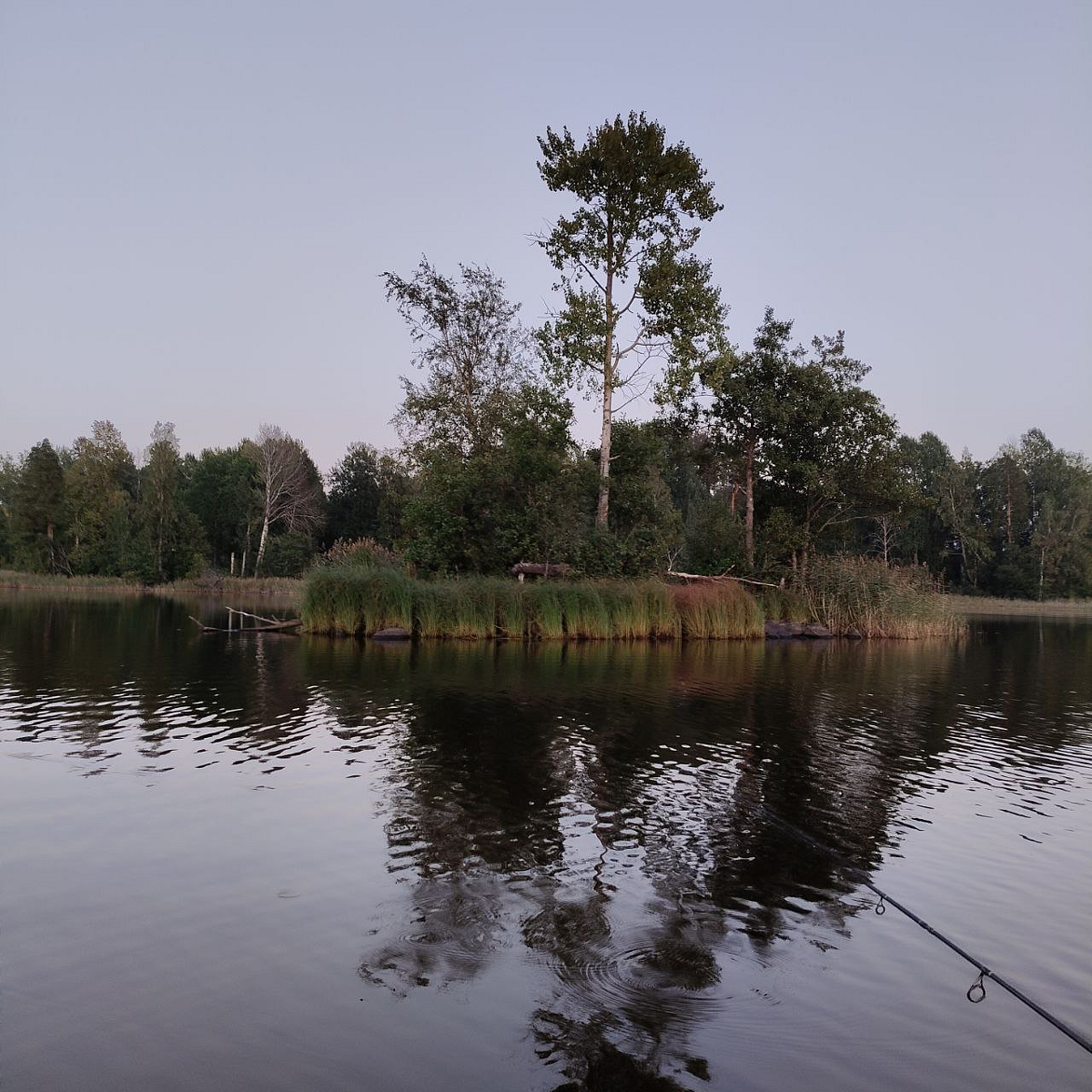 Фото 6 из отзыва о доме отдыха Родная усадьба