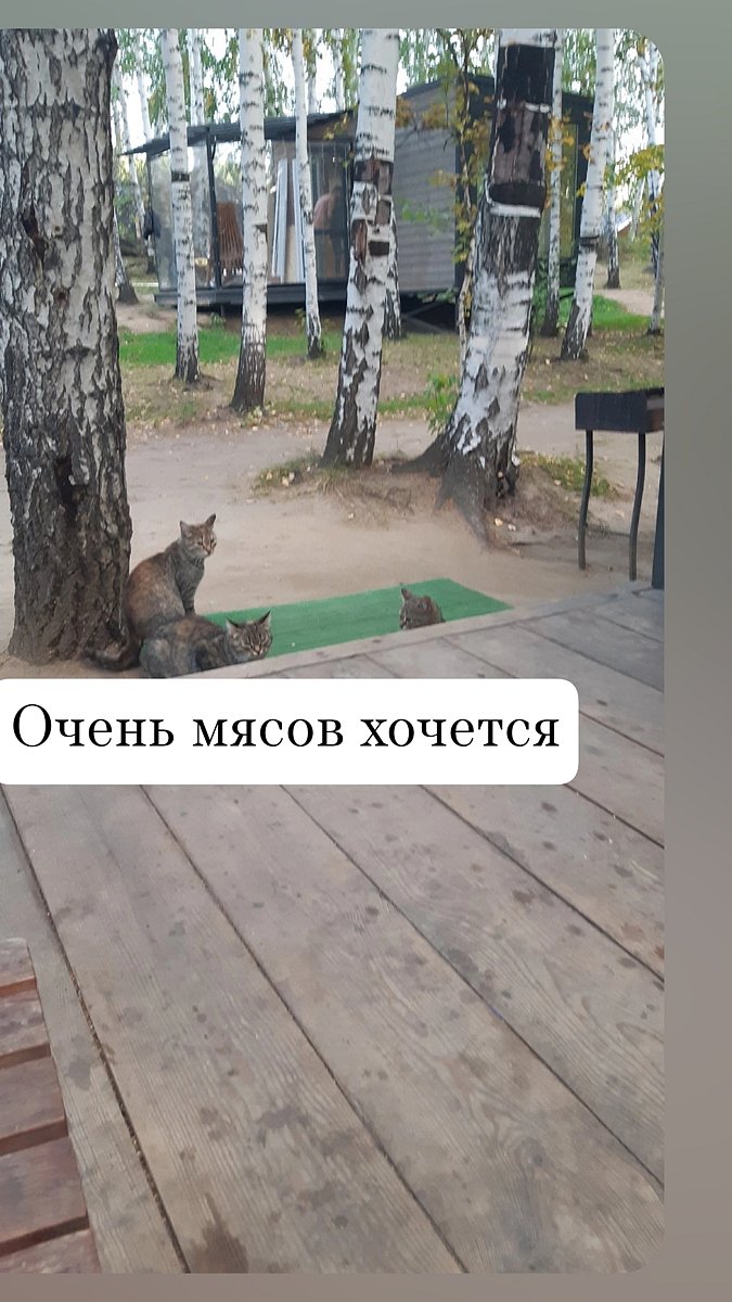 Фото 29 из отзыва о базе отдыха Философия отдыха