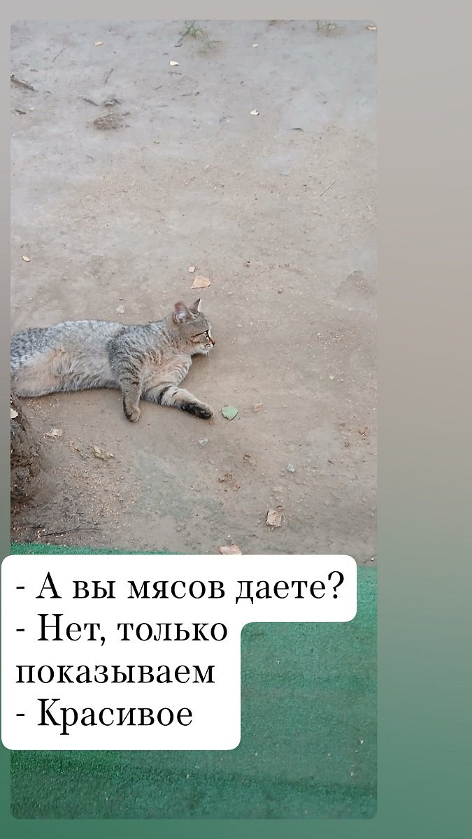 Фото 30 из отзыва о базе отдыха Философия отдыха