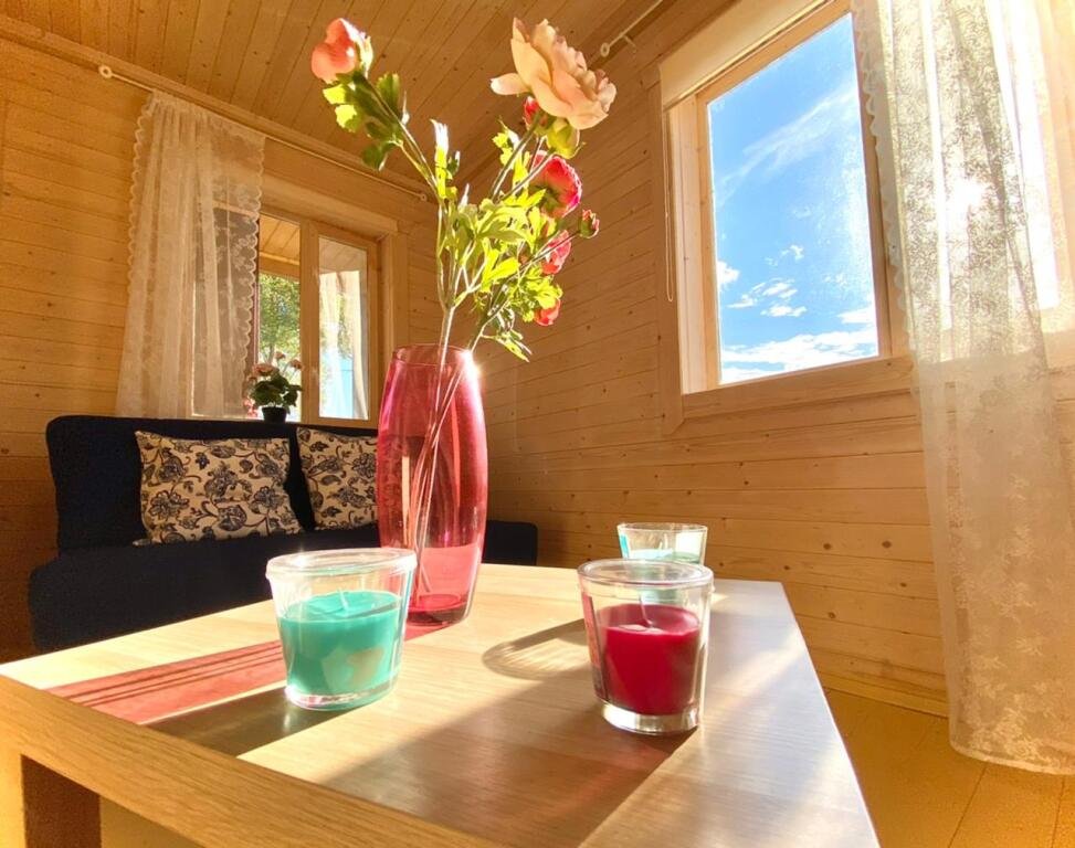 Прозрачный берег, Республика Карелия: фото 5