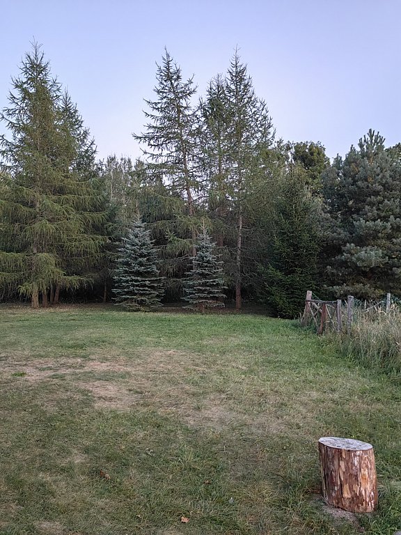 Фото из отзыва от 06.09.2024