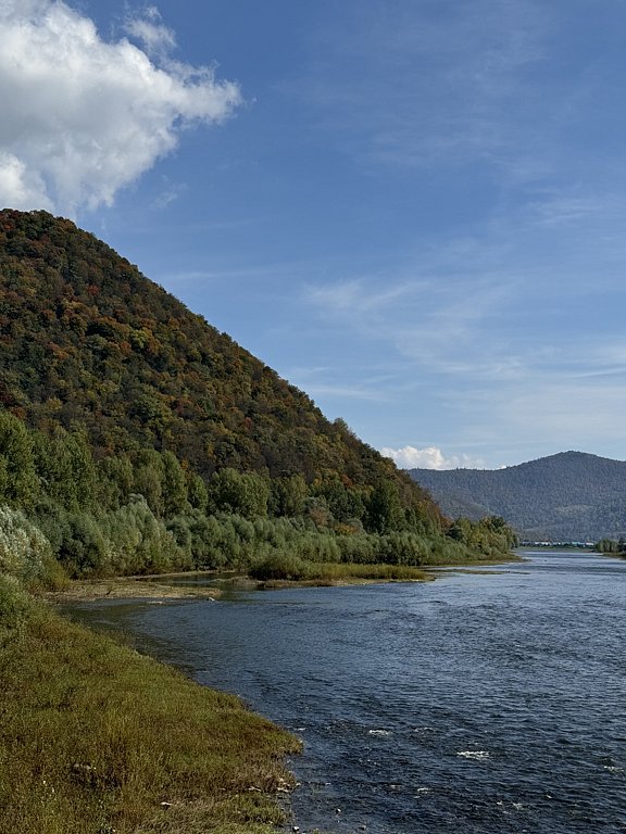 Фото из отзыва от 09.09.2024