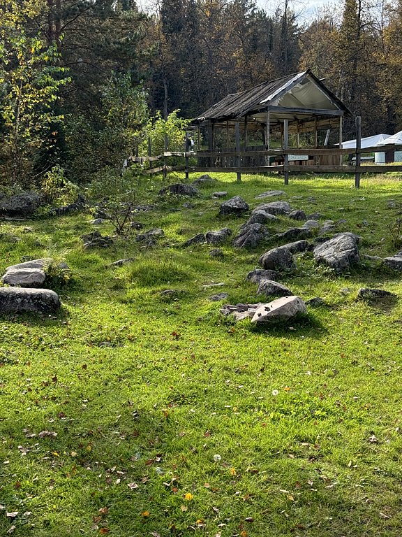 Фото из отзыва от 09.09.2024