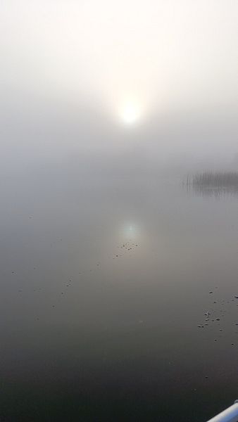 Фото 1 из отзыва о гостевом доме Твоё озеро