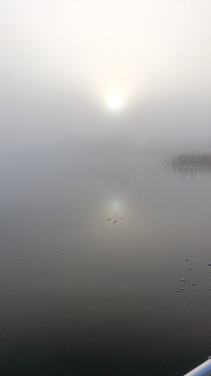 Фото из отзыва от 05.09.2024