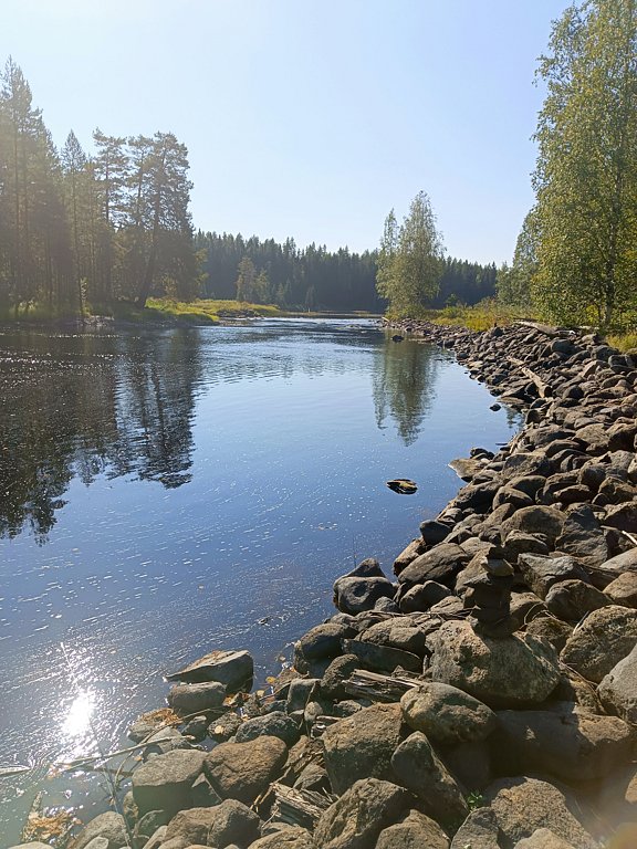 Фото из отзыва от 05.09.2024