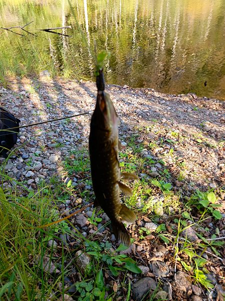 Фото 9 из отзыва о гостевом доме Твоё озеро