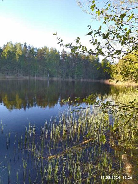 Частный дом Среди озер, Ленинградская область: фото 5