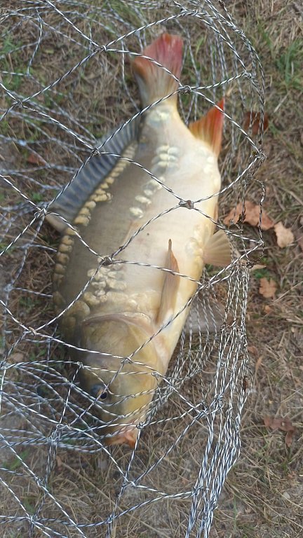 Фото из отзыва от 13.09.2024