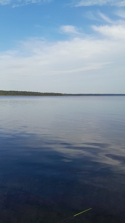 Фото из отзыва от 13.09.2024