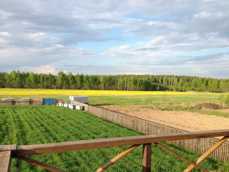 Зеленая дуброва, Могилёвская область: фото 4