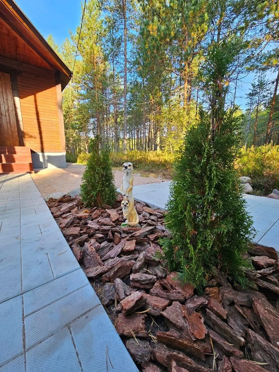 Ильинка в Карелии, Республика Карелия: фото 3