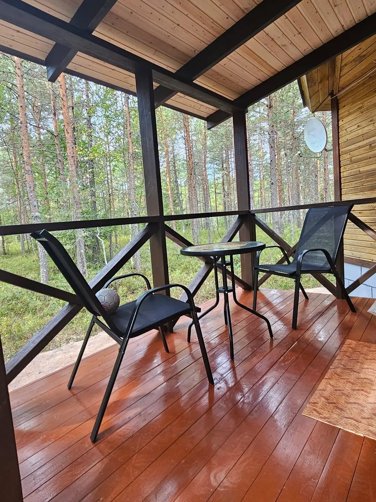 Ильинка в Карелии, Республика Карелия: фото 4