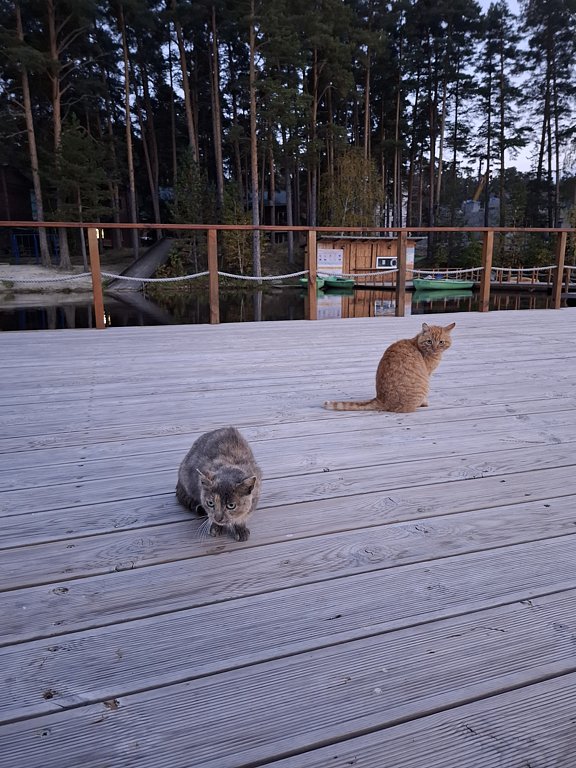 Фото из отзыва от 14.09.2024